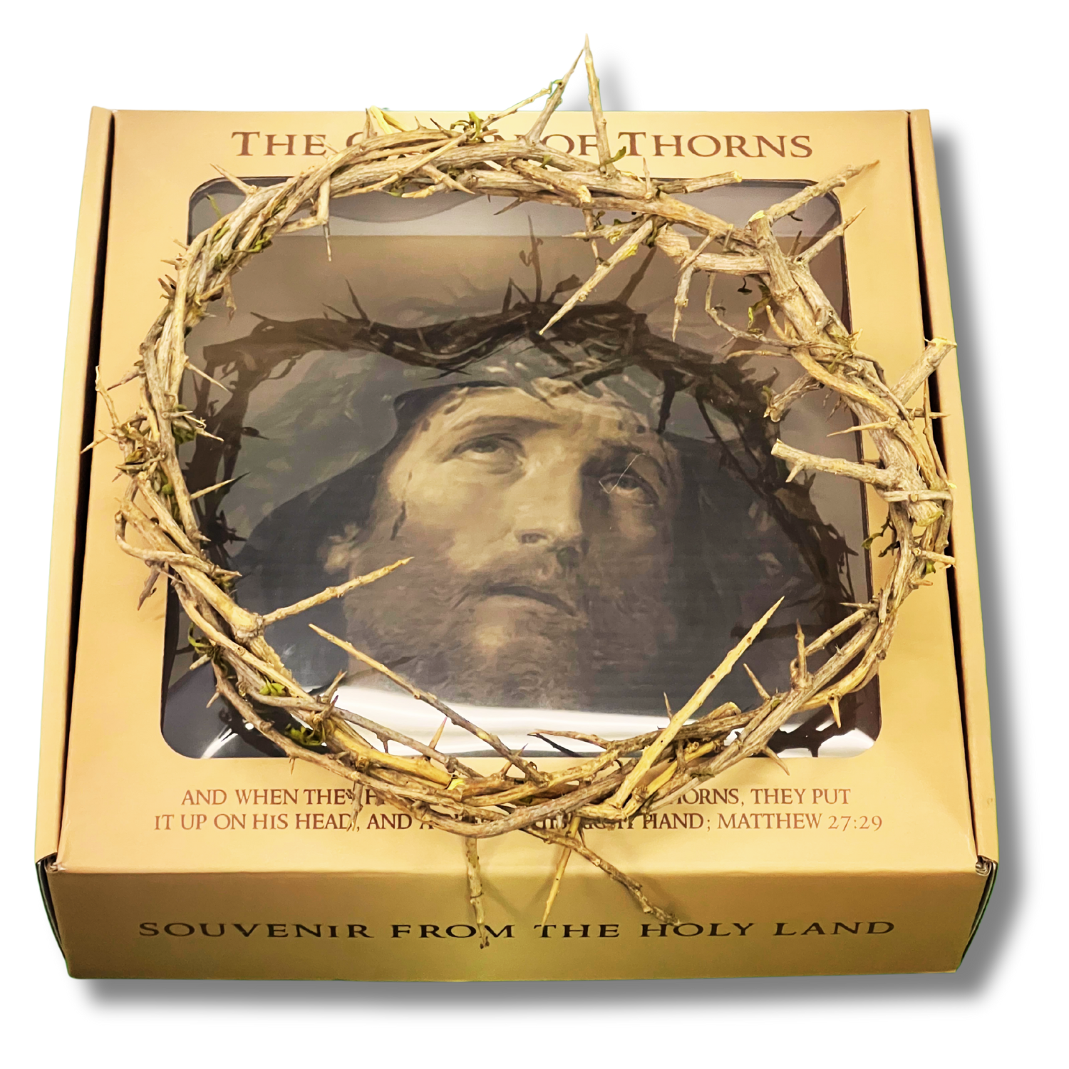 Crown Of Thorns From The Holy Land of Bethlehem