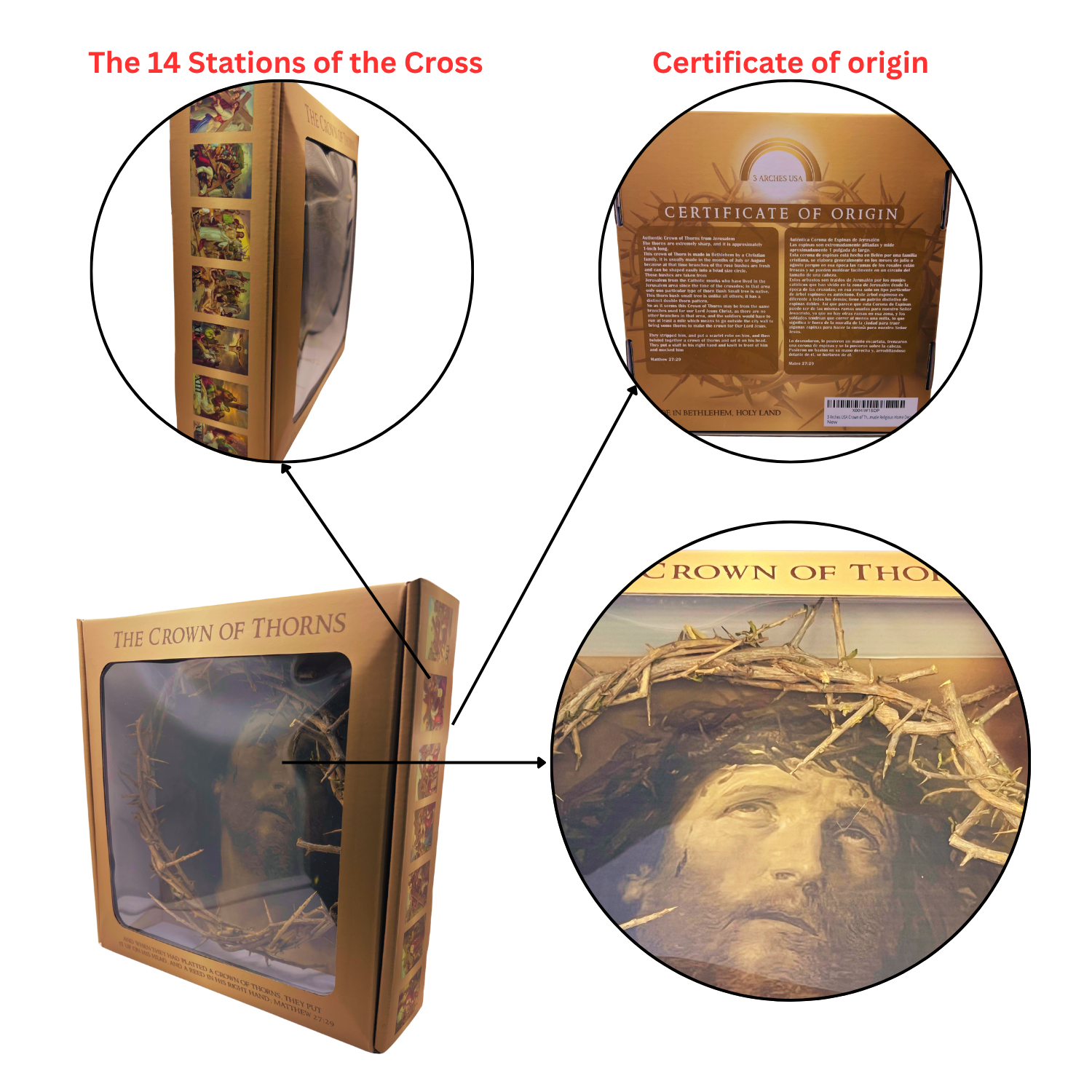 Crown Of Thorns From The Holy Land of Bethlehem - Image 3