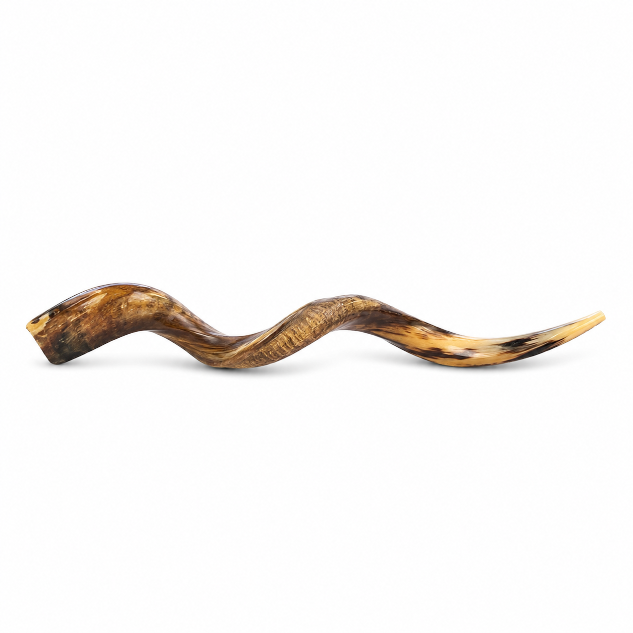 Yemenite Shofar from Israel – Authentic Kudu Horn Shofar, Handcrafted in Israel, Available in Sizes - Image 2