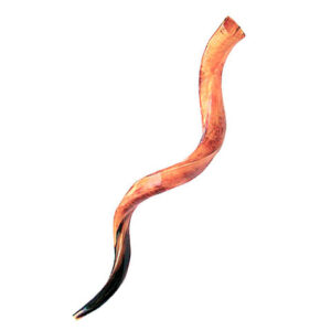 a shofar