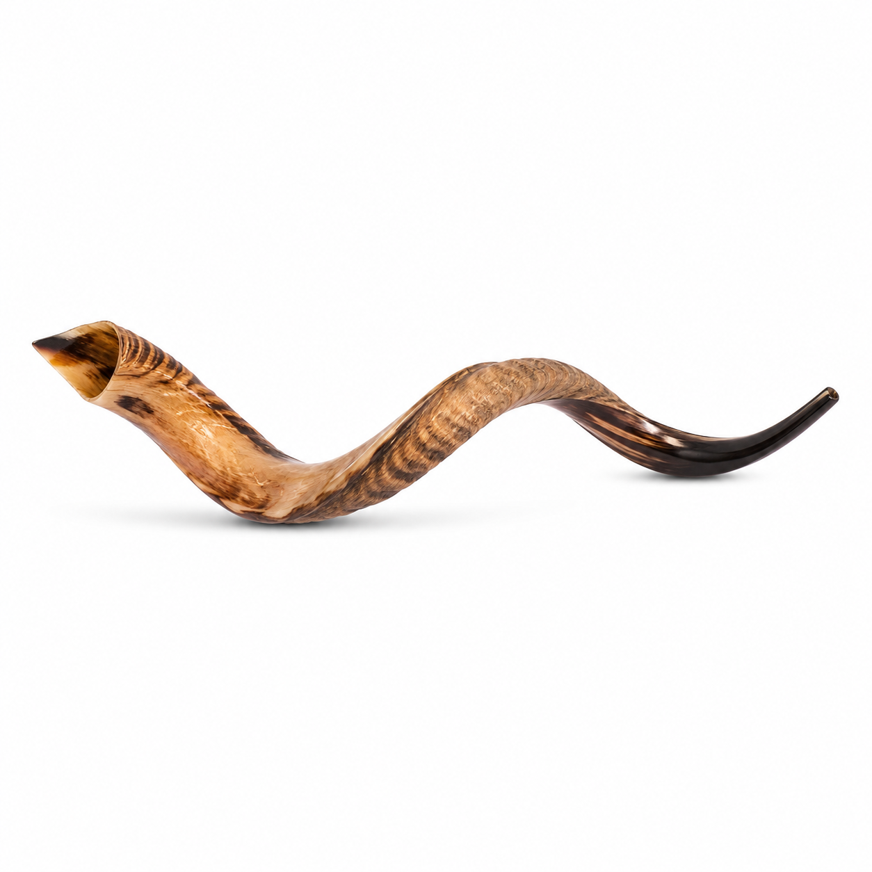 Authentic Yemenite Shofar handcrafted in Israel from genuine kudu horn, individually tested for sound quality and available in multiple sizes from 11 to 39 inches.