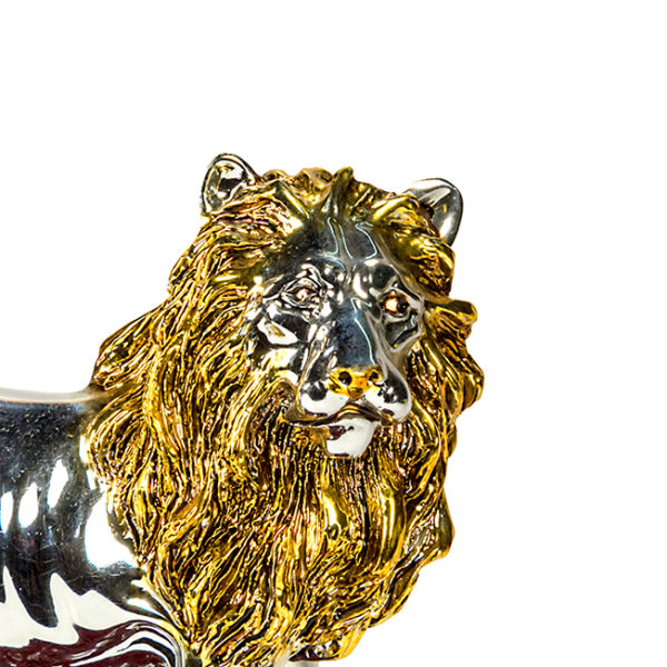 the lion of judah